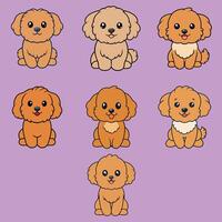 Set of Playful Zuchon Dogs Sitting in Style Isolated Vectors