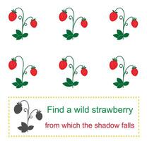 Educational game for kids. Task for attentiveness. Find a wild strawberry from which the shadow falls. vector