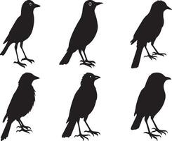 Doodle Tiny Birds Collection, Hand-Drawn Forest Bird Icons. Featuring Tiny Birds like Tit, Sparrow, Thrush, and more. Black Illustrations with Crisp Outlines on a White Background. vector