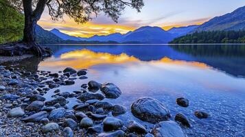 A tree is sitting on the shore of a lake photo