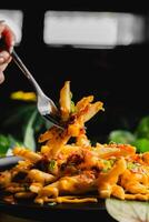 French fries topped with melted cheese and bacon bits. photo