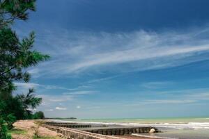 beautiful beach under blue sky. beautiful beach with spruce on coastline. beautiful beach with white sand photo