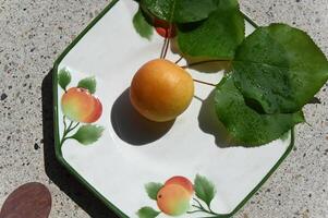a plate with an orange and a leaf on it photo