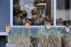 a group of birdhouses in front of a window photo