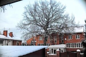 A beautiful snowy yard with a charming brick house in the background photo