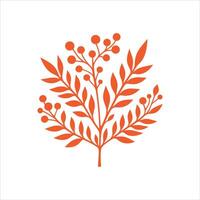 Branches With Leaves And Berries isolated on a white background vector