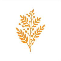 A branch with leaves and berries on a white background vector