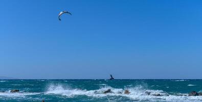 Kiteboarders dance across vibrant waters under a clear blue sky on a sunny coastal day photo