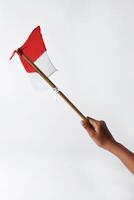 A child's hand holds and waves the red and white flag photo