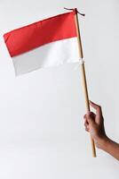 A child's hand holds and waves the red and white flag photo