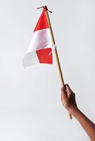 A child's hand holds and waves the red and white flag photo