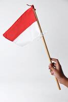 A child's hand holds and waves the red and white flag of the Indonesian photo