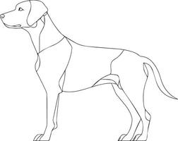 dog thin line silhouette graphic design vector
