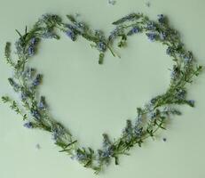 Light blue botanical frame on the light green background with copy space. Floral background photo