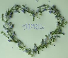 Heart shaped botanical frame with copy space. Floral background with text. April photo
