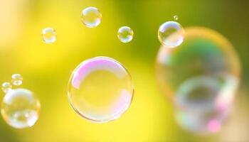 soap bubbles floating in the air on a green background photo