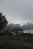 Foggy morning in autumn landscape with lake and mist photo