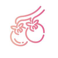 tomato Line Gradient Icon White Background vector