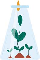 Plants growing inside a laboratory flask during an experiment with chemical drops falling from above, representing scientific research and discovery vector