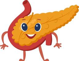 Cartoon representation of a healthy pancreas and duodenum with a smiling face, promoting awareness of digestive health and medical education vector