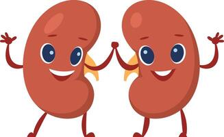 Two cheerful kidney characters promoting health and wellness by holding hands and waving, engaging viewers in learning about renal function and disease prevention vector