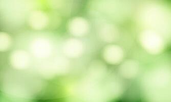 bokeh effect background of fresh leaves in nature vector