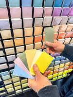 Customer Selecting Paint Swatches in Colourful Hardware Store Display. High quality photo
