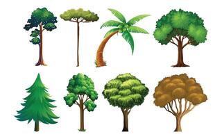 collection of different trees and plants. isolated on white background. vector