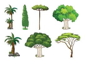 Various types of trees and plants vector