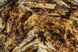 Textured plaster and paint background to create a background or textures for the design of a beautiful grunge background. Panoramic abstract decorative background photo