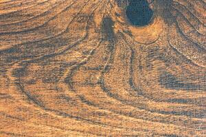 Granular material, solid wood with a structural surface for design textures. Grunge panel with rough coating photo