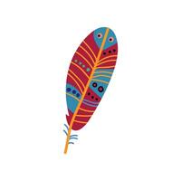 Colorful Bird Feather with Patterns, Beautiful Decoration Element Illustration vector