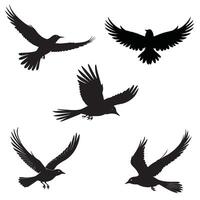 Set of silhouettes of flying birds vector