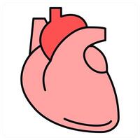 Human Heart and cardiovascular icon concept vector