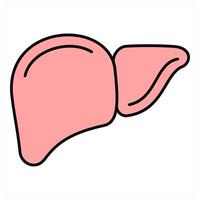 Liver and health care icon concept vector