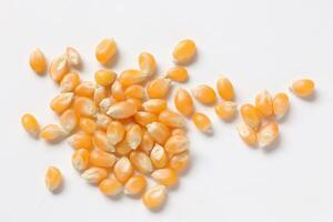 Closeup of corn, corn seeds photo