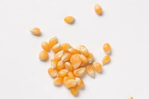 Closeup of corn, corn seeds photo