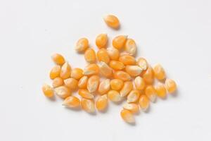 Closeup of corn, corn seeds photo