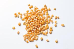 Closeup of corn, corn seeds photo