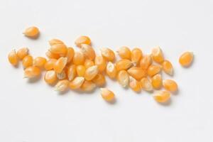 Closeup of corn, corn seeds photo