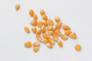 Closeup of corn, corn seeds photo