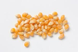 Closeup of corn, corn seeds photo