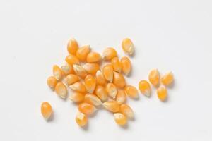 Closeup of corn, corn seeds photo