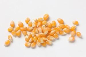 Closeup of corn, corn seeds photo