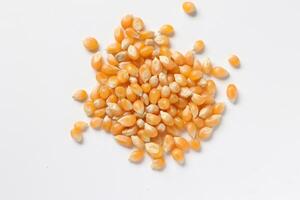 Closeup of corn, corn seeds photo