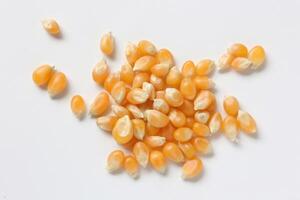 Closeup of corn, corn seeds photo