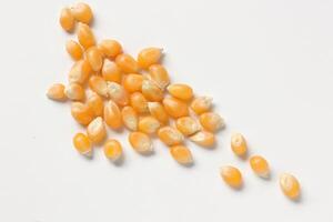 Closeup of corn, corn seeds photo