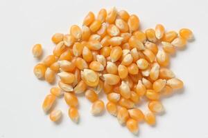Closeup of corn, corn seeds photo