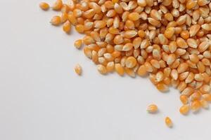 Closeup of corn, corn seeds photo