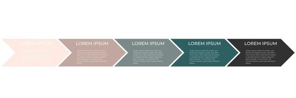 infographic elements set vector